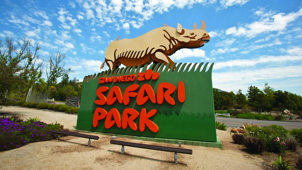 San Diego Explorer Pass: Save up to 50% on 45+ Attractions - Picking the big choice: San Diego Zoo vs. San Diego Zoo Safari Park