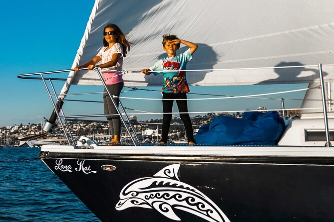 San Diego: Half-Day Marine Wildlife Tour with Lunch - Two Hours Inside San Diego Bay: Dolphins, Sea-Lions, and Birds