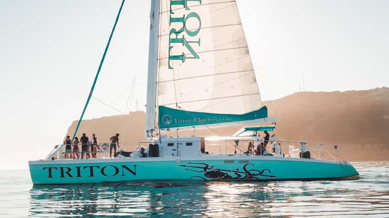 San Diego Harbor Cruise: 2.5 hour Catamaran Cruise - Quick hits before you go