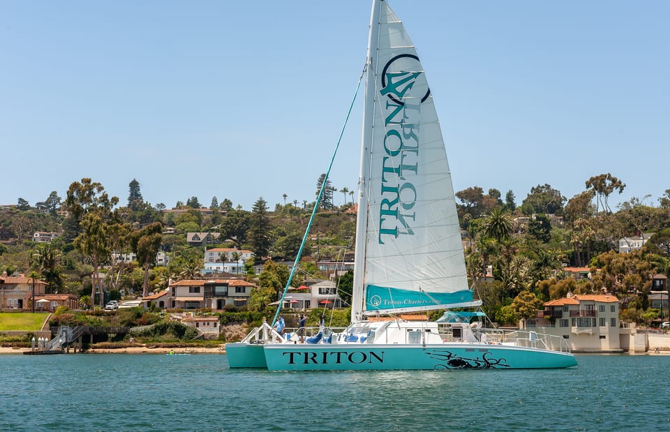 San Diego Harbor Cruise: 2.5 hour Catamaran Cruise - Starting at Shelter Island: what the Triton Charters launch feels like