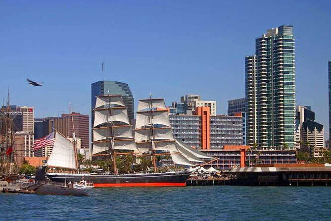 San Diego Harbor Cruise - Wildlife and Photo Stops: Seals and Sea Lions Near Shore