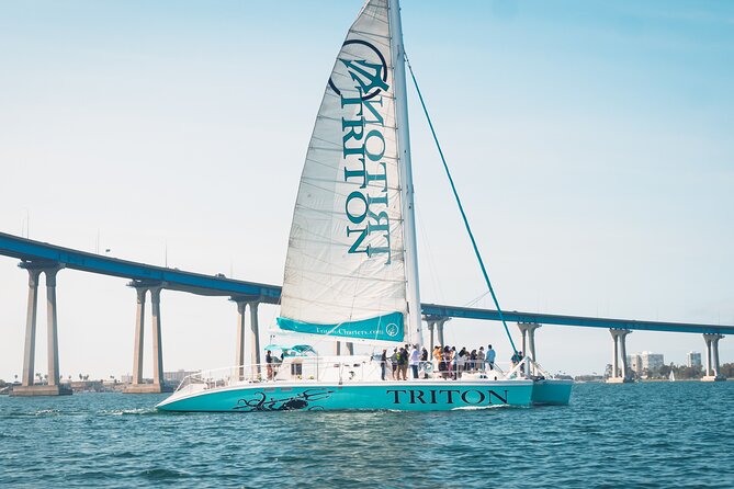 San Diego Harbor Cruise on the largest Catamaran in San Diego! - Coronado from the bay: a resort city you understand faster