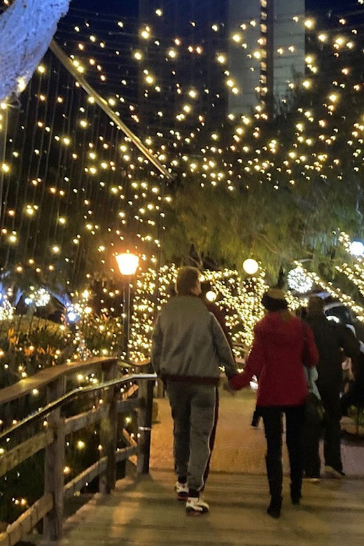 San Diego: Holiday Lights and Sights Trolley Tour - Practical tips before you board