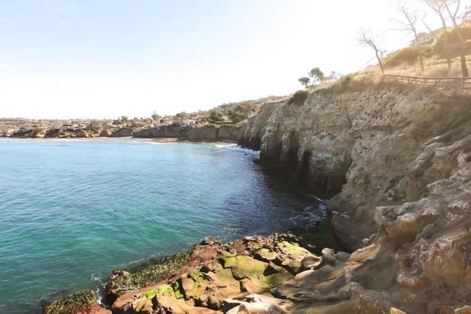 San Diego: La Jolla Cove Guided Snorkeling Tour - Gear That’s Included (and the Wetsuit Reality Check)