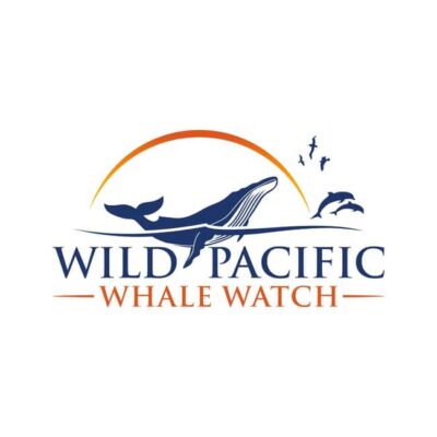 San Diego: Luxury Year-round Whale Watching & Dolphin Tour - From H&M Landing to the Peregrine: Your Point Loma Start
