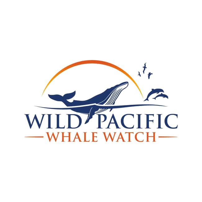 San Diego: Luxury Year-round Whale Watching & Dolphin Tour - From H&M Landing to the Peregrine: Your Point Loma Start