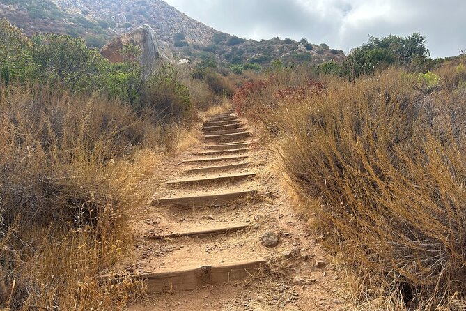 San Diego Mountain Hike and Meditation Tour - Your $69 pack: water, sanitizer, notepad, and photo help