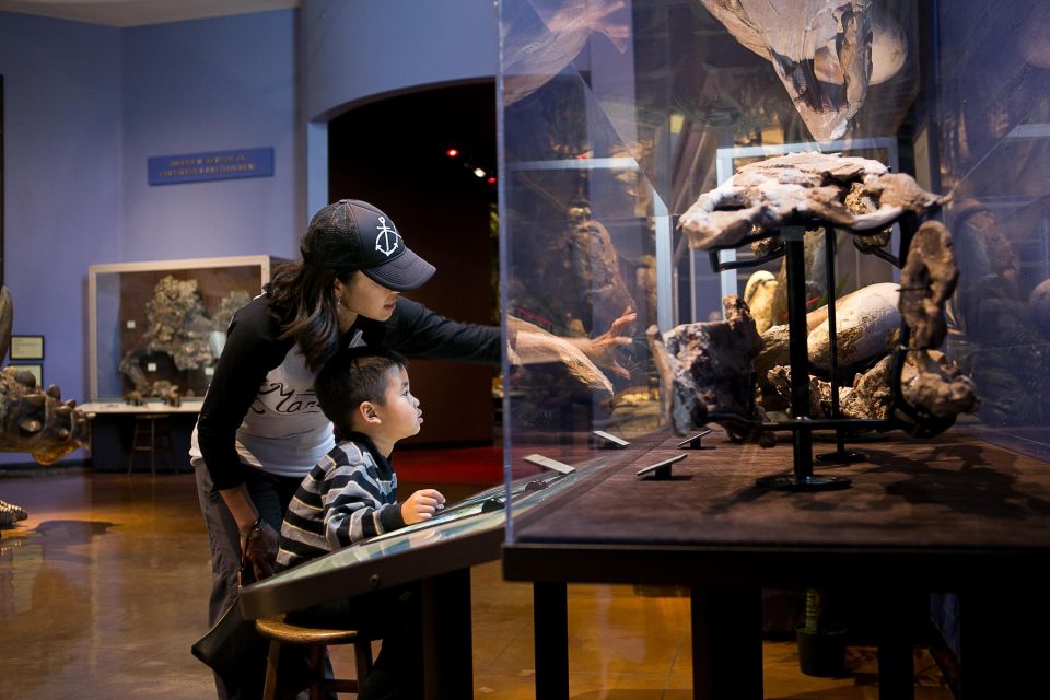 San Diego Natural History Museum Nighttime Entry Ticket - The Scavenger Hunt: Find the Birthday Party Animals