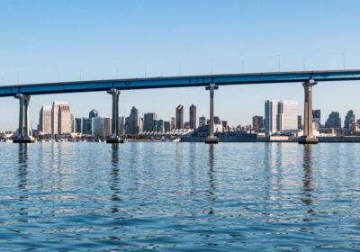 San Diego: New Year's Eve Gourmet Brunch or Dinner Cruise - Brunch vs Dinner: The Menu Differences You’ll Actually Feel
