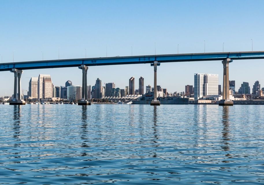 San Diego: New Year's Eve Gourmet Brunch or Dinner Cruise - Brunch vs Dinner: The Menu Differences You’ll Actually Feel