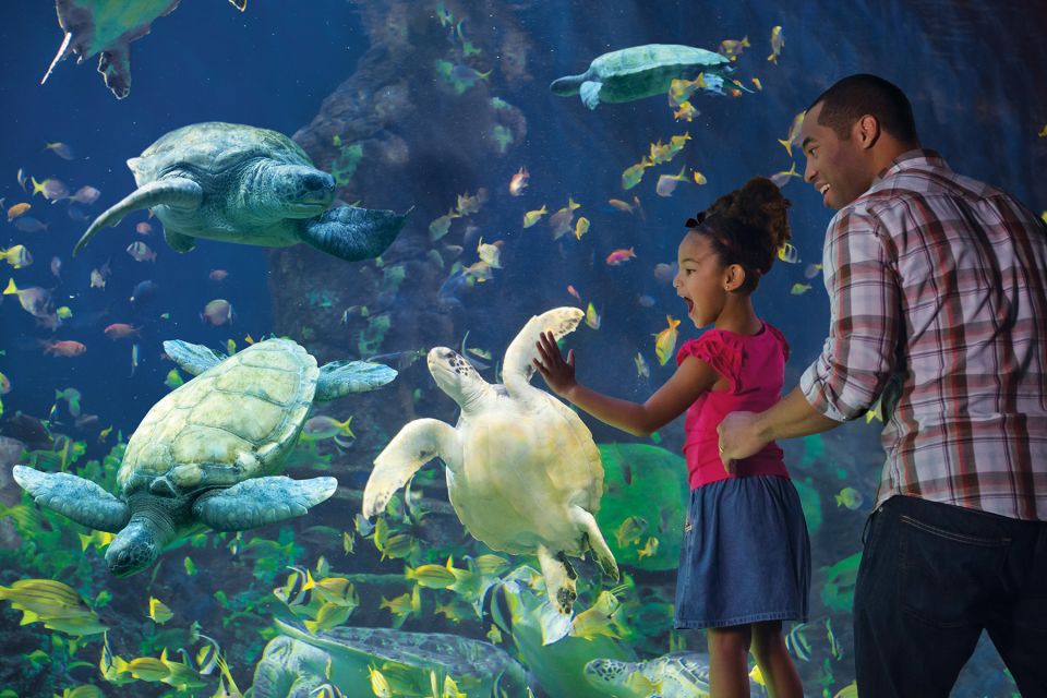 San Diego Pass: Save up to 50% - Includes LEGOLAND - Museums and science: where the pass shines on rainy hours