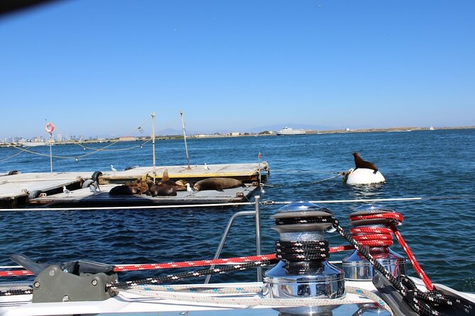 San Diego Private Morning Sail up to 12 guests - Comfort onboard: blankets, drinks, and snack choices that actually work
