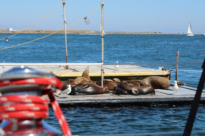 San Diego Private Morning Sail up to 12 guests - The cruise toward Point Loma: sails, speed, and Bay views