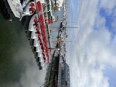 San Diego: San Diego Bay Dog-Friendly Eco Pedal Boat Rentals - Where You Go and How You Get Started at H&M Landing