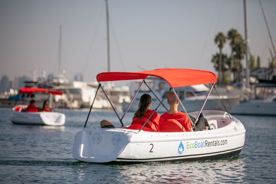 San Diego: San Diego Bay Dog-Friendly Eco Pedal Boat Rentals - Wildlife and Birds: Sea Lions Up Close (When You’re in the Right Mood)