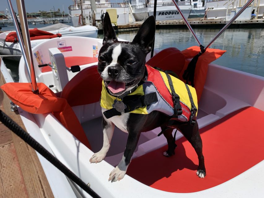 San Diego: San Diego Bay Dog-Friendly Eco Pedal Boat Rentals - Food, Shade, and the Point Loma Angle You Can Bring With You