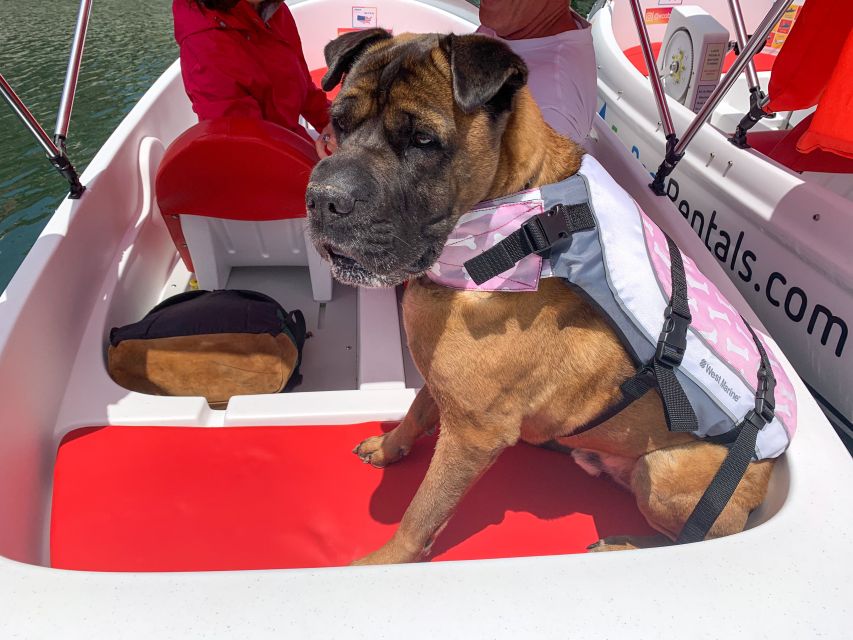 San Diego: San Diego Bay Dog-Friendly Eco Pedal Boat Rentals - Dog-Friendly Pedal Boating: Pet Add-On and What It Covers