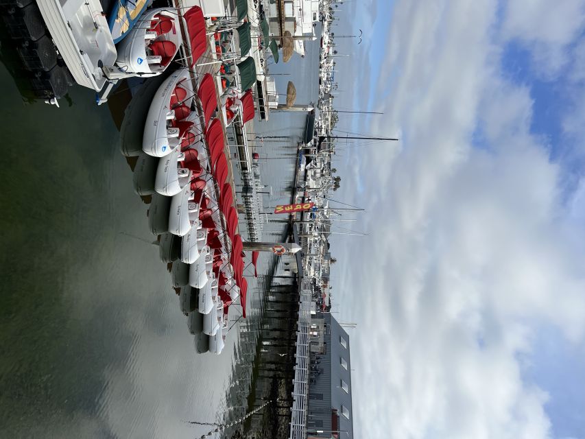 San Diego: San Diego Bay Dog-Friendly Eco Pedal Boat Rentals - Where You Go and How You Get Started at H&M Landing
