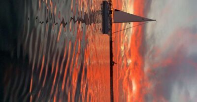 San Diego: San Diego Bay Sunset & Daytime Sailing Experience - What You Really See: Downtown Skyline From the Water