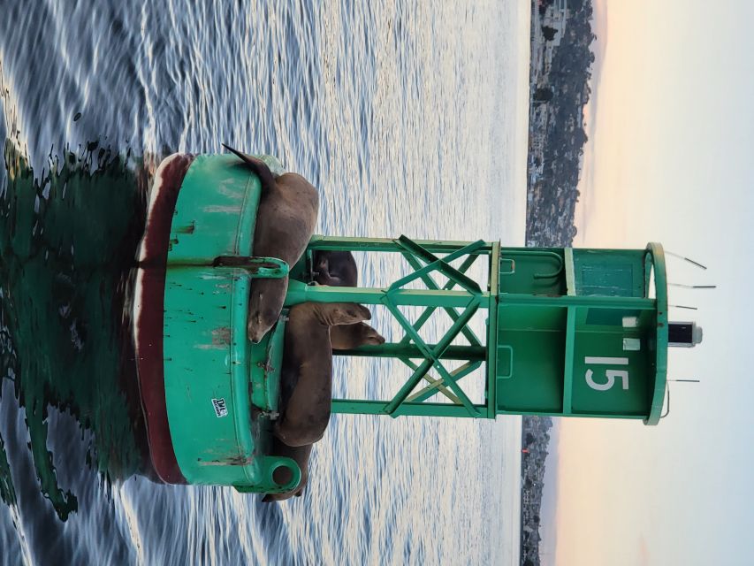 San Diego: San Diego Bay Sunset & Daytime Sailing Experience - Wildlife on San Diego Bay: Sea Lions, Dolphins, and How to Spot Them