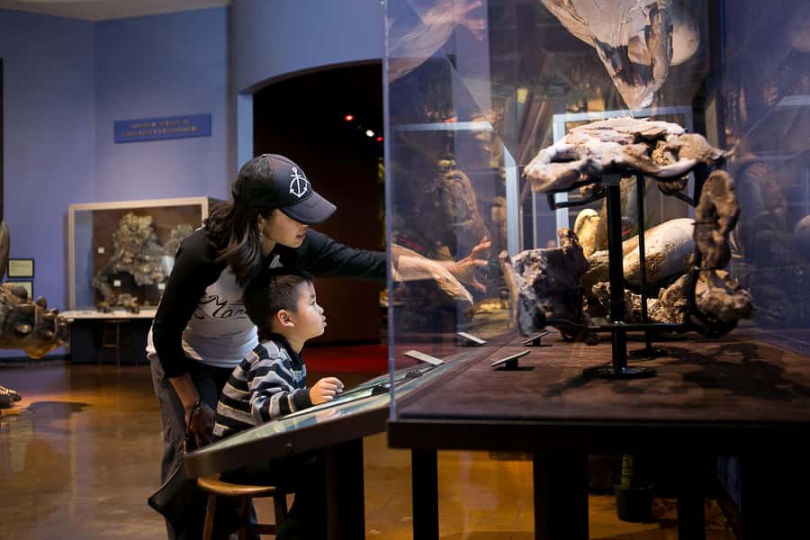 San Diego: San Diego Natural History Museum Ticket - Food, Gifts, and Timing in Balboa Park