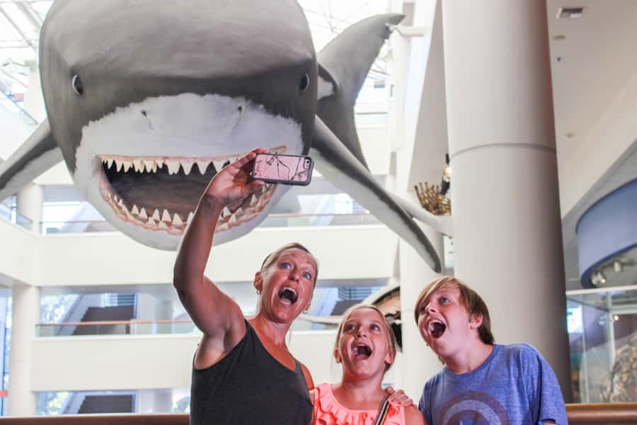 San Diego: San Diego Natural History Museum Ticket - Tickets and Value: Why a $12 Day Can Feel Like Two Visits
