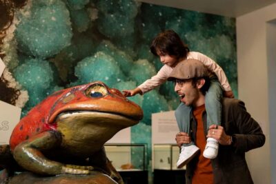 San Diego: San Diego Natural History Museum Ticket - Fossil Mysteries: From Dinosaurs to Mastodons in One Clear Storyline