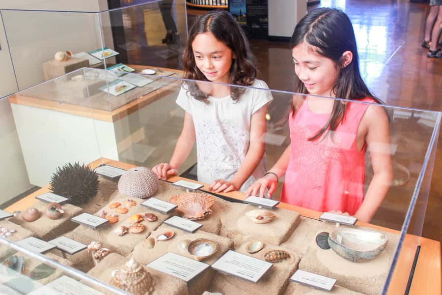 San Diego: San Diego Natural History Museum Ticket - The Nat at 150: How Conservation Stories Become Tangible