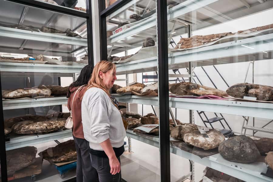 San Diego: San Diego Natural History Museum Ticket - Unshelved: What’s in Storage and Why You Should Care