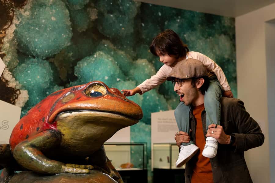 San Diego: San Diego Natural History Museum Ticket - Fossil Mysteries: From Dinosaurs to Mastodons in One Clear Storyline