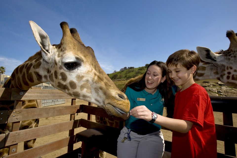 San Diego: San Diego Zoo Safari Park 1-Day Ticket - Elephant Overlook and Elephant Enrichment: why the views feel different