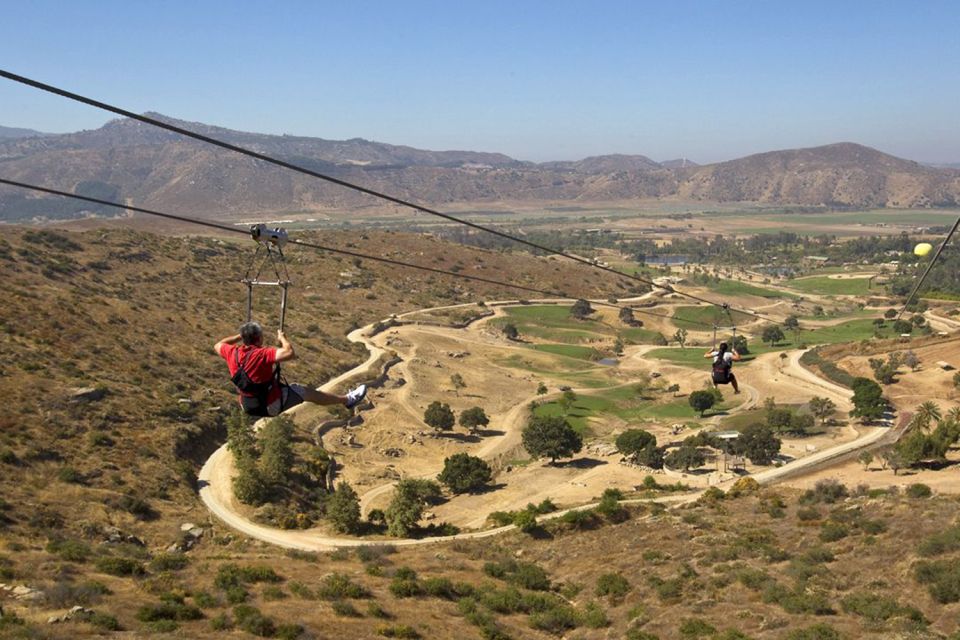San Diego: San Diego Zoo Safari Park 1-Day Ticket - Hidden Jungle, the free-flight aviary, and Condor Ridge: birds and big wings