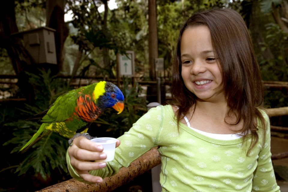 San Diego: San Diego Zoo Safari Park 1-Day Ticket - Africa Tram Safari (10 a.m. to 4:15 p.m.): the smart way to cover the park