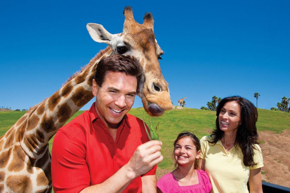 San Diego: San Diego Zoo Safari Park 1-Day Ticket - Tiger Trail and Lion Camp: the first close-up hit