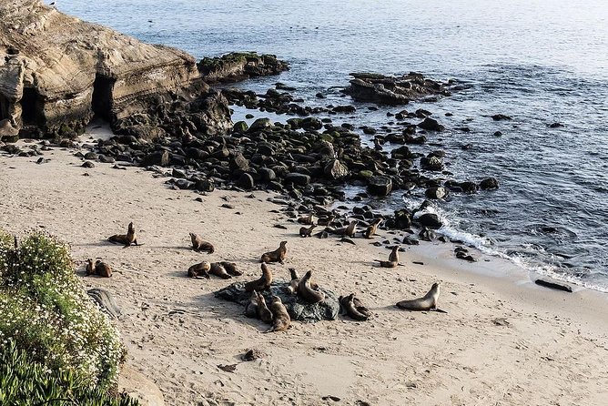 San Diego Scenic Tour - Balboa Park: architecture, walking time, and a calm pause in the schedule