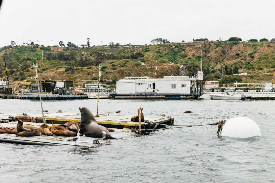 San Diego: SEAL City Tour by Amphibious Bus - Who should book SEAL City Tour