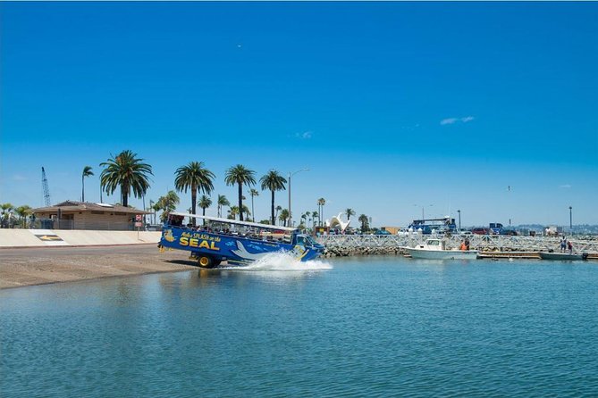 San Diego Seal Tour - Price and What You Really Get for about $53