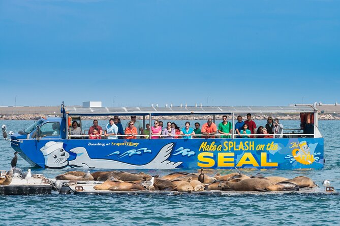 San Diego Seal Tour - What to Pack (So the 1.45 Hours Feel Easy)