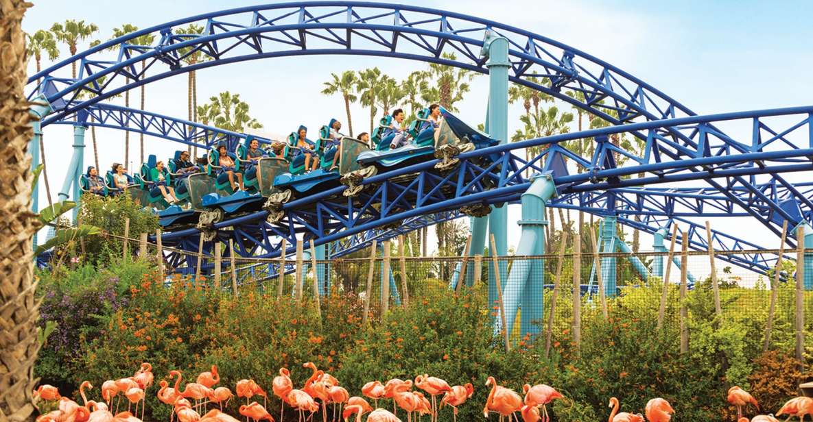 San Diego: SeaWorld Skip-the-Line Park Admission Ticket - Key things that make this SeaWorld ticket worth thinking about