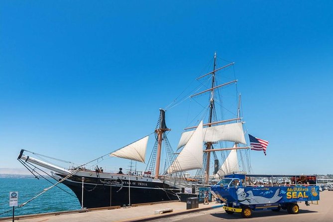 San Diego Shore Excursion: San Diego Seal Tour - What to wear: open-air means wind, plus a simple packing plan