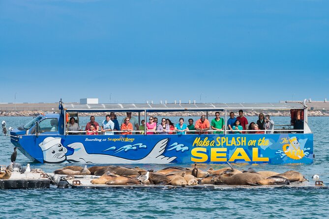 San Diego Shore Excursion: San Diego Seal Tour - The splash-down moment: camera time and bay wildlife chances