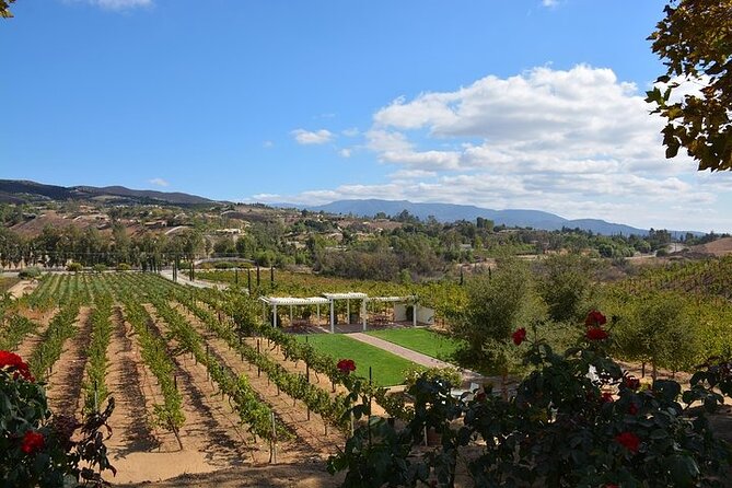 San Diego to Temecula: Wine Country Tour & Historic Old Town - Wine tastings and the value of one set price