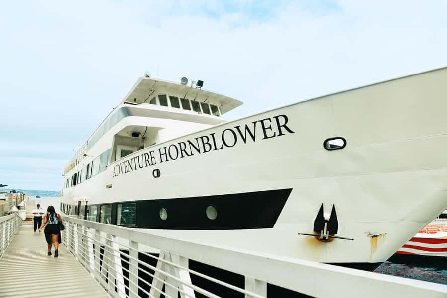 San Diego: Whale and Dolphin Watching Cruise - Who should book this San Diego whale and dolphin cruise?