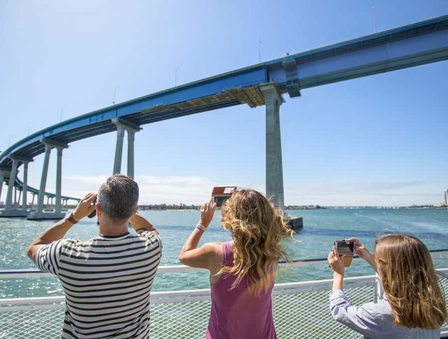 San Diego: Whale and Dolphin Watching Cruise - The onboard Natural History Museum narration (and why it’s more fun than it sounds)