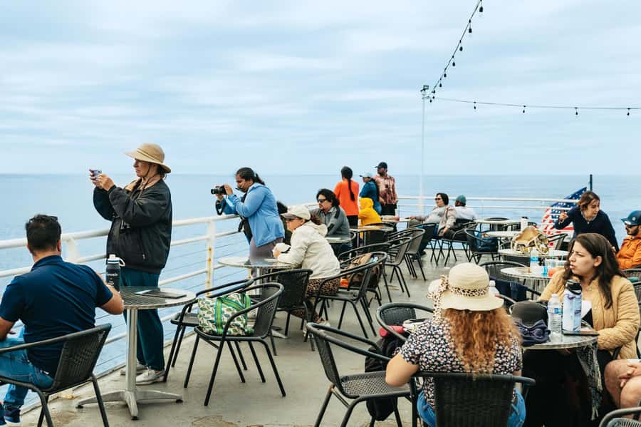 San Diego: Whale and Dolphin Watching Cruise - Comfort on a stable boat: seating, wind, and motion-sickness reality