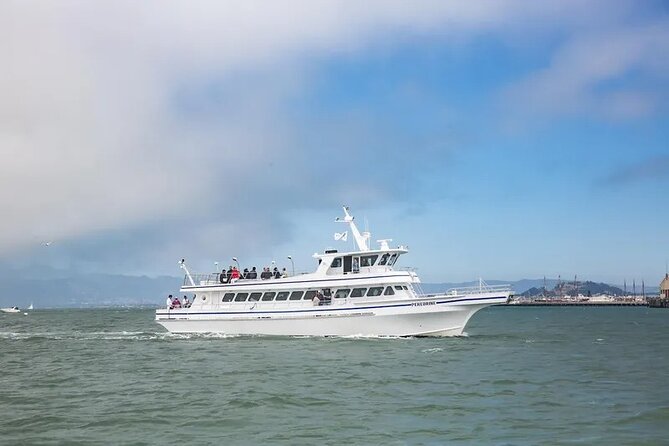 San Diego Whale/Dolphin Watching Cruise Aboard Luxury Vessel - Where you start: H&M Landing on Emerson Street