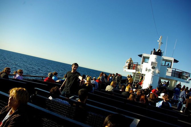 San Diego Whale Watching Cruise - Snacks, drinks, and that no-seasickness guarantee
