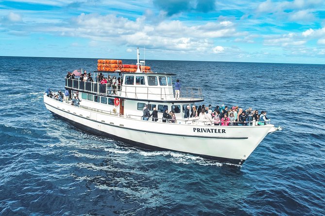 San Diego Whale Watching & Dolphin Cruise - Who should book this cruise?