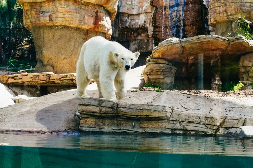 San Diego Zoo: 1-Day Admission Ticket - Key Highlights at a Glance