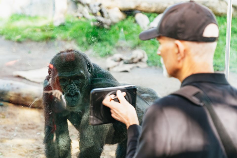 San Diego Zoo: 1-Day Admission Ticket - Skyfari Tram: The End-Of-Day Reset You’ll Appreciate More Than You Think